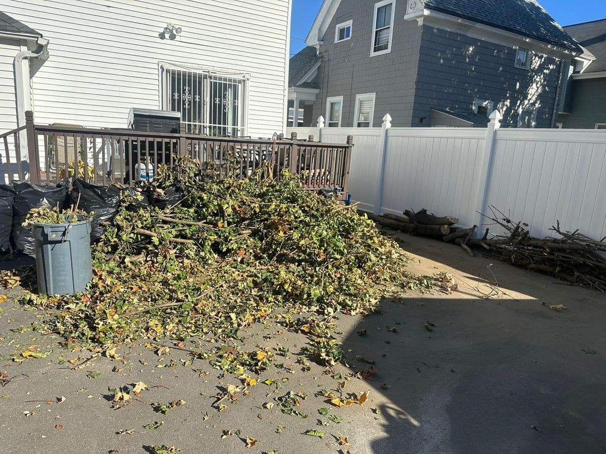 Yard Waste Cleanup before — Providence, RI