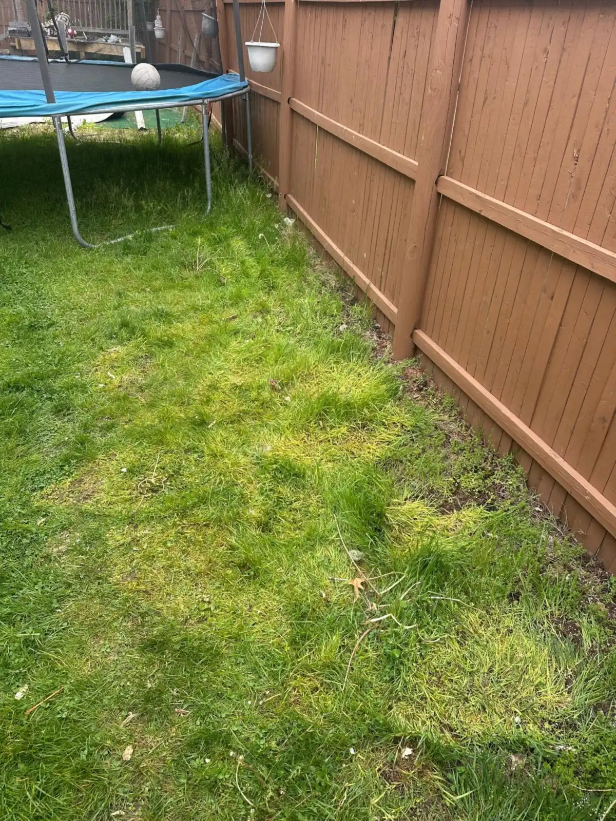 Backyard lawn along the fence cleared after debris removal