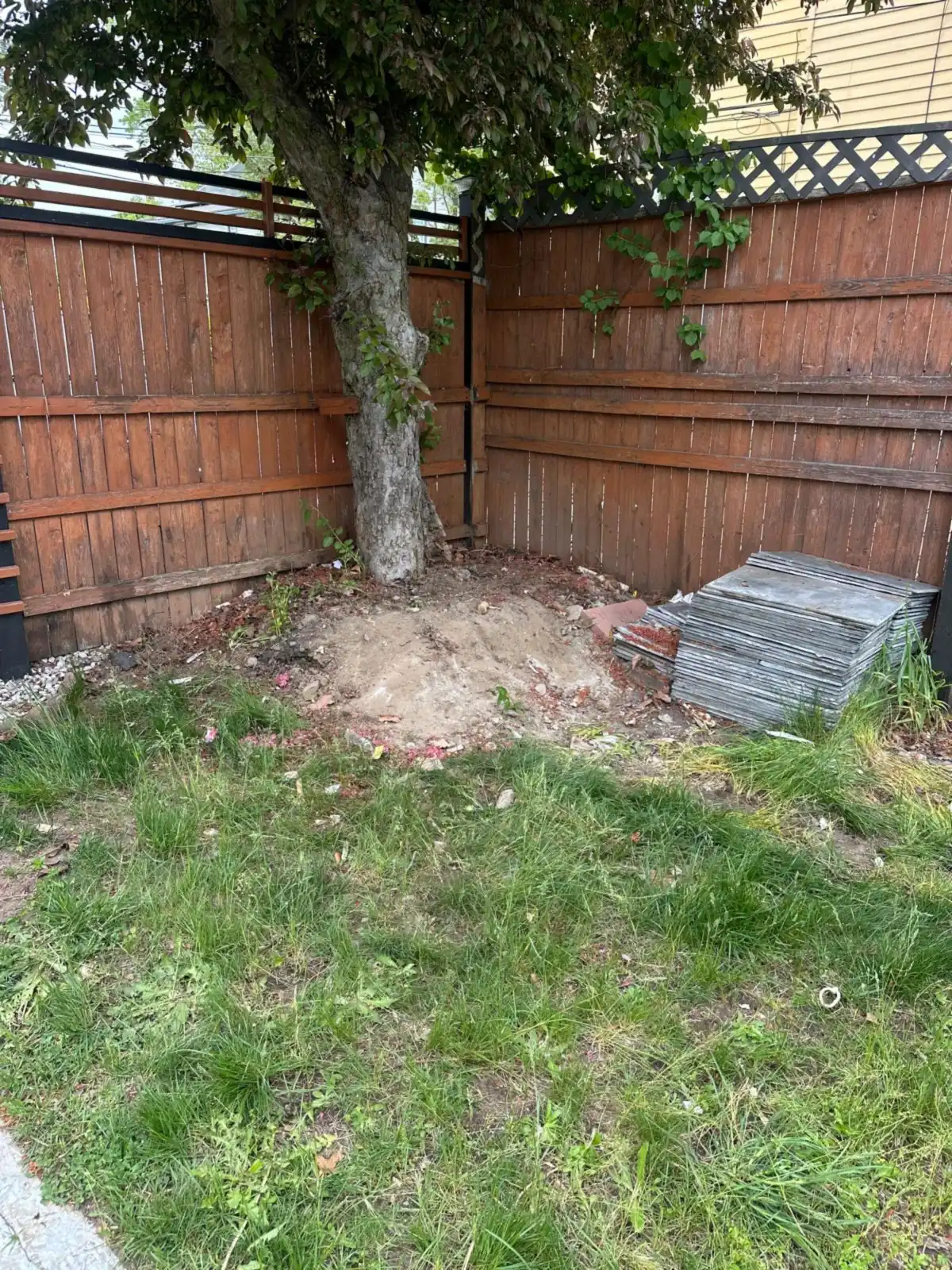 Fenced corner under the tree cleared after furniture removal