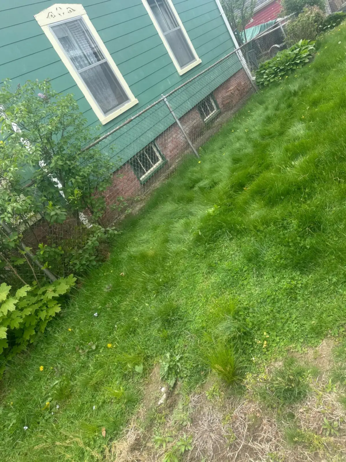 Side lawn beside the house cleared after grill and furniture removal