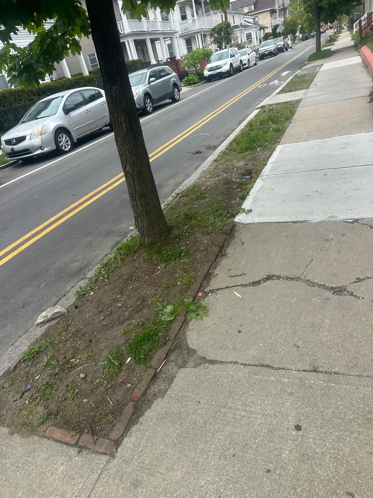 Curb strip and sidewalk cleared after mattress pickup
