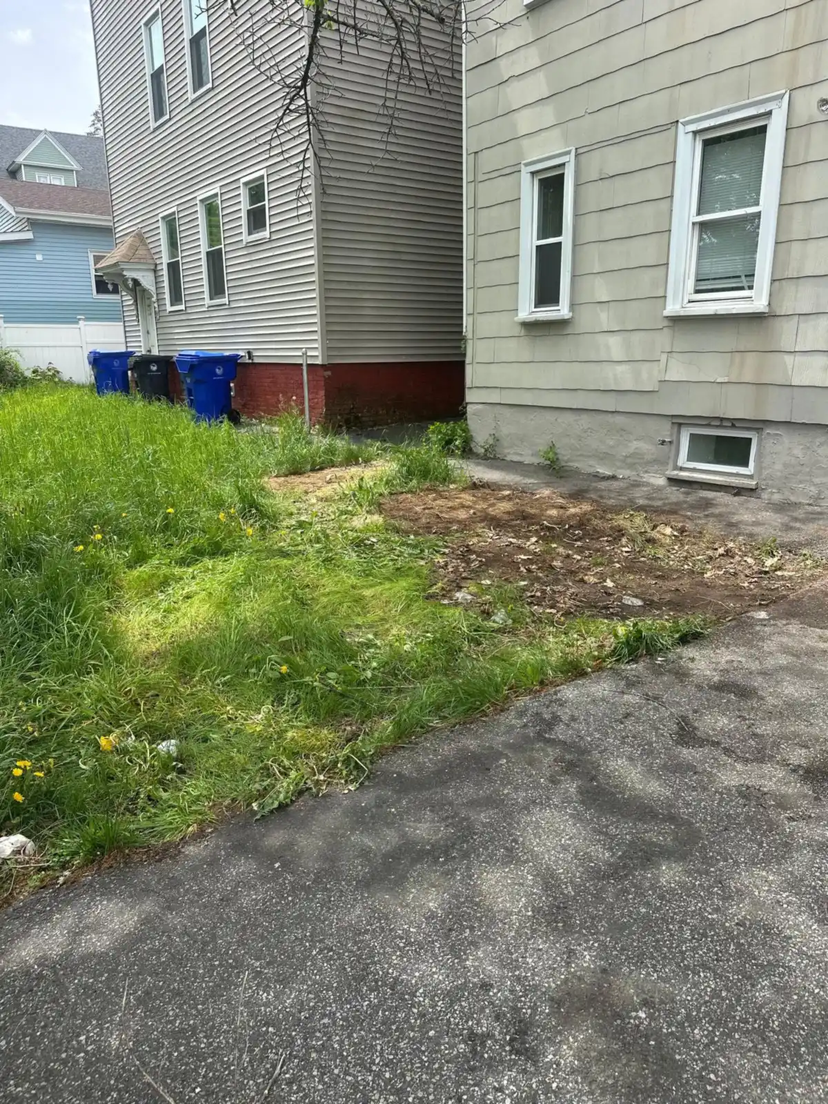 Driveway edge and lawn cleared after mattress removal