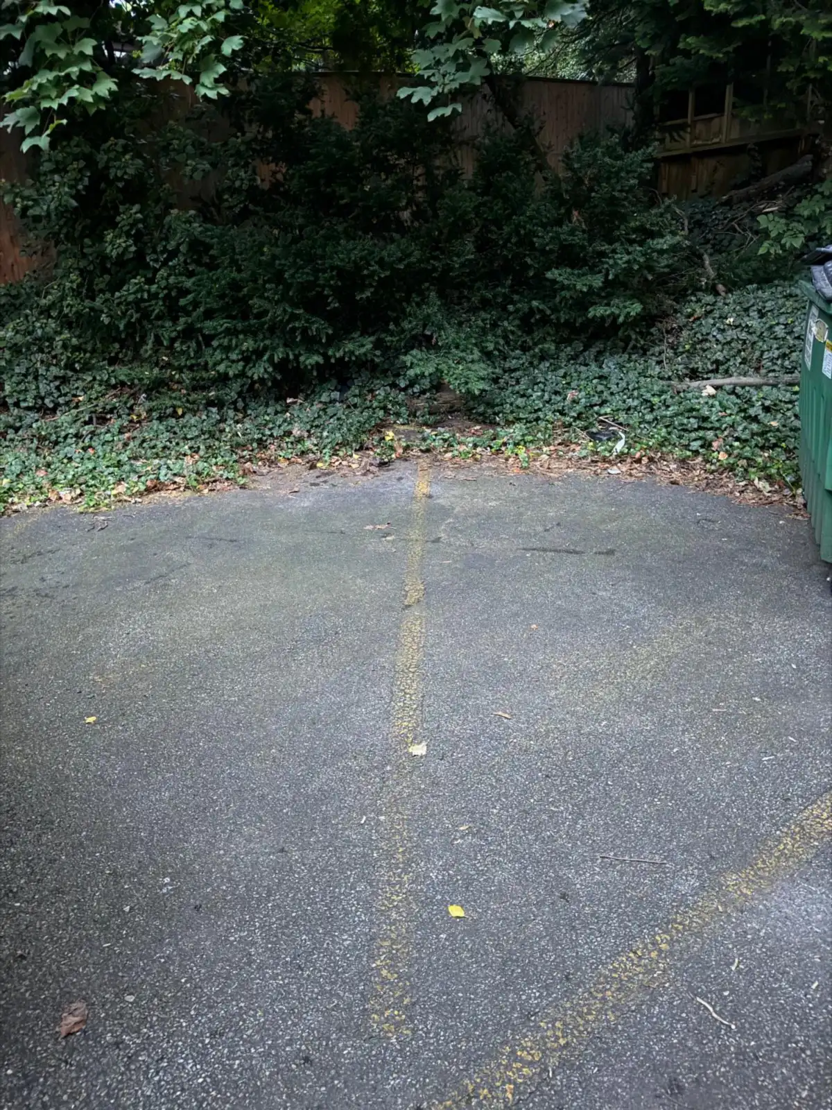 Parking area beside the dumpsters cleared after junk removal